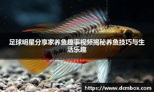 金沙8087